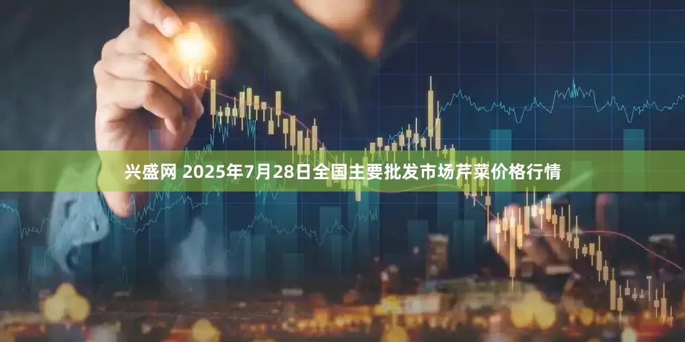 兴盛网 2025年7月28日全国主要批发市场芹菜价格行情