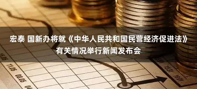 宏泰 国新办将就《中华人民共和国民营经济促进法》有关情况举行新闻发布会